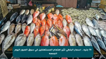 79 جنيه.. أسعار البلطي تثير اهتمام المستهلكين في سوق العبور اليوم الجمعة